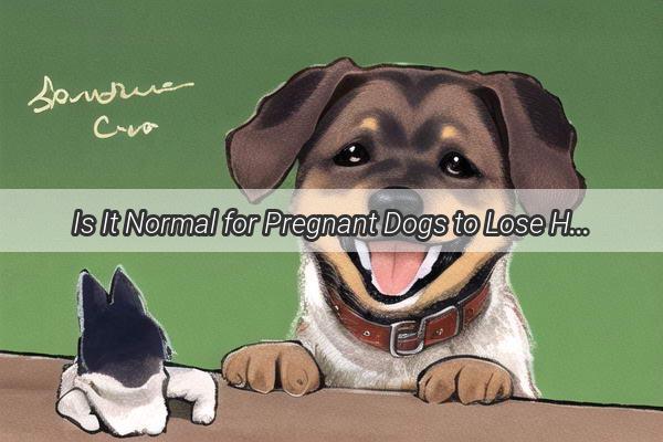 Is It Normal for Pregnant Dogs to Lose Hair Discover the Truth Behind This Common Concern